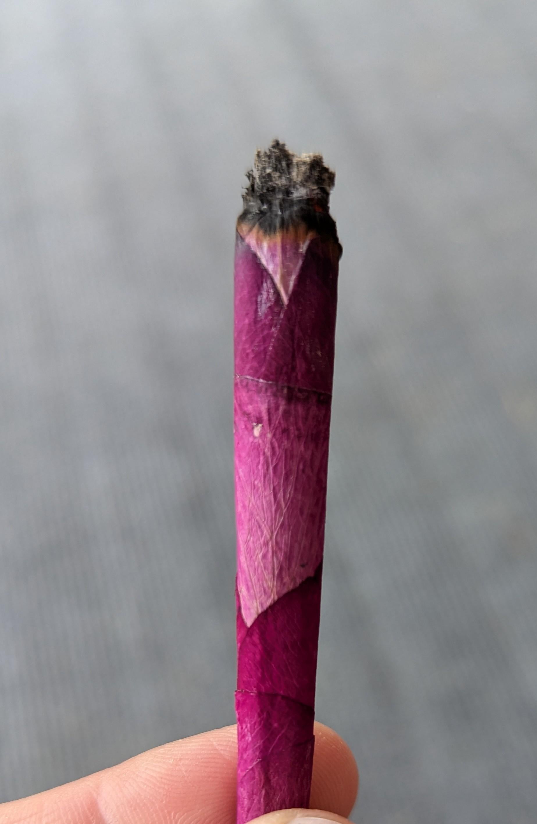 Chamomile Rose Cone